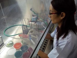 NIH lifts ban on dangerous pathogen research