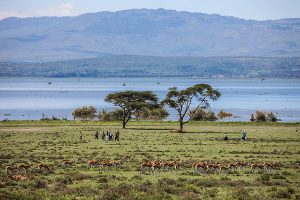 Researchers study Rift Valley fever as climate change expands risks