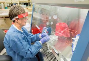 Clinical lab scientist Nancy Leonard prepares samples to be tested for COVID-19. She wears a face shield and gloves for protection because she is handling material that may contain the virus and will transfer patient samples into smaller tubes for testing.