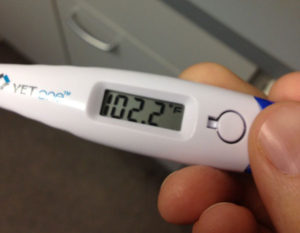 flu-thermometer