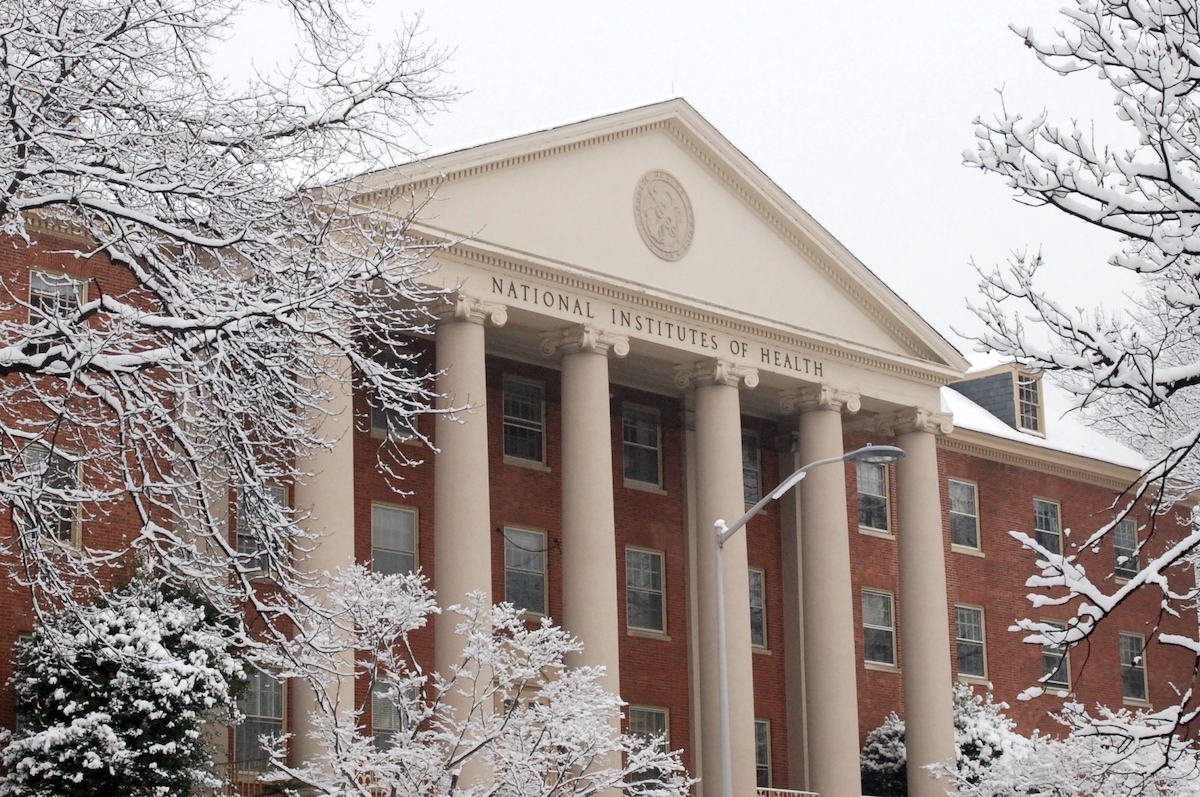 James H. Shannon Building on the NIH campus in Bethesda, MD. NIH pause featured image