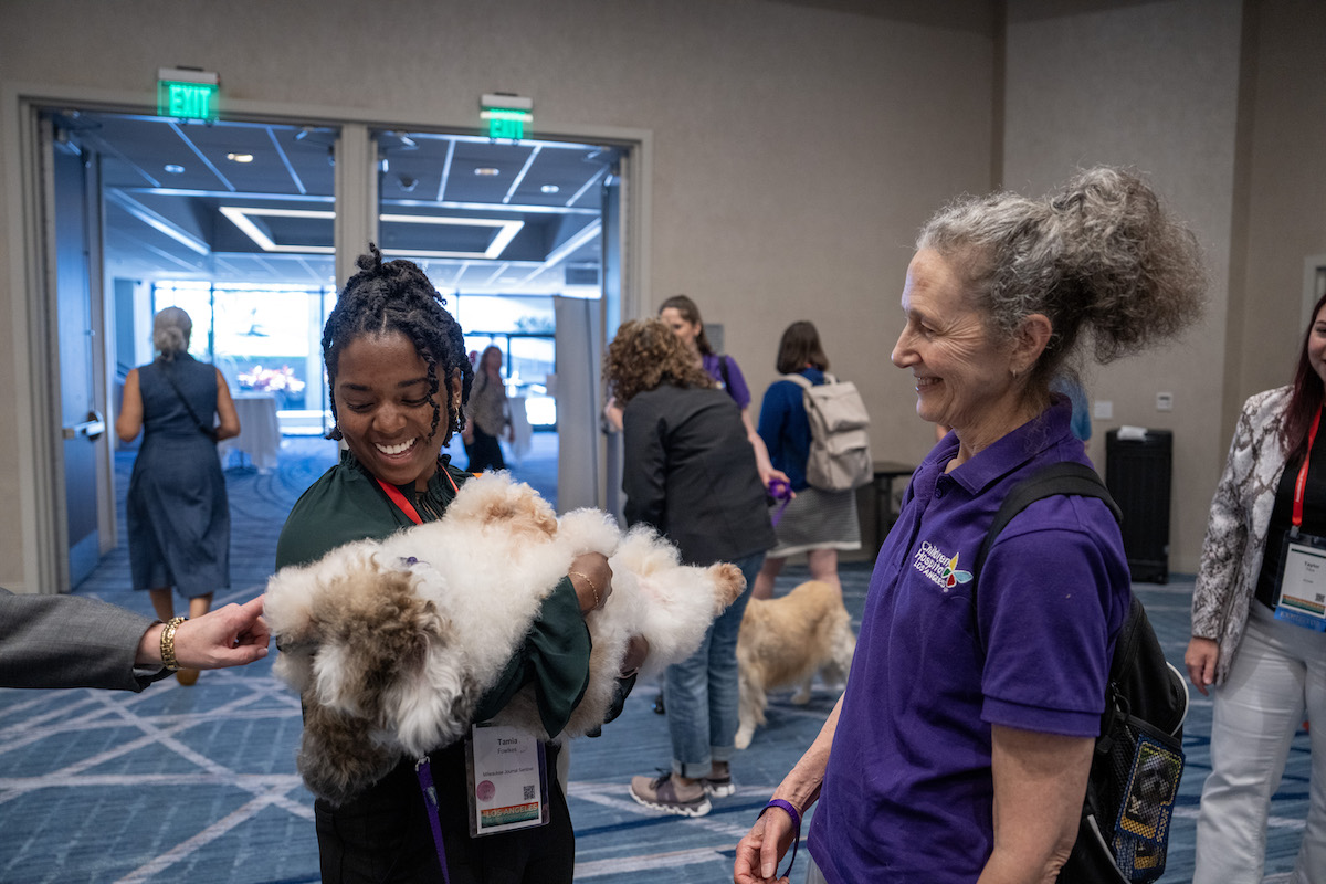 therapy dog being held