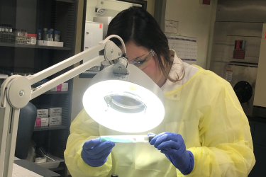 CDC Laboratory Leadership Service fellow Kara Levinson examines Mycobacterium tuberculosis cultures at the New Hampshire Public Health Laboratory in October 2019. Public domain photo by CDC/Melissa Deveau