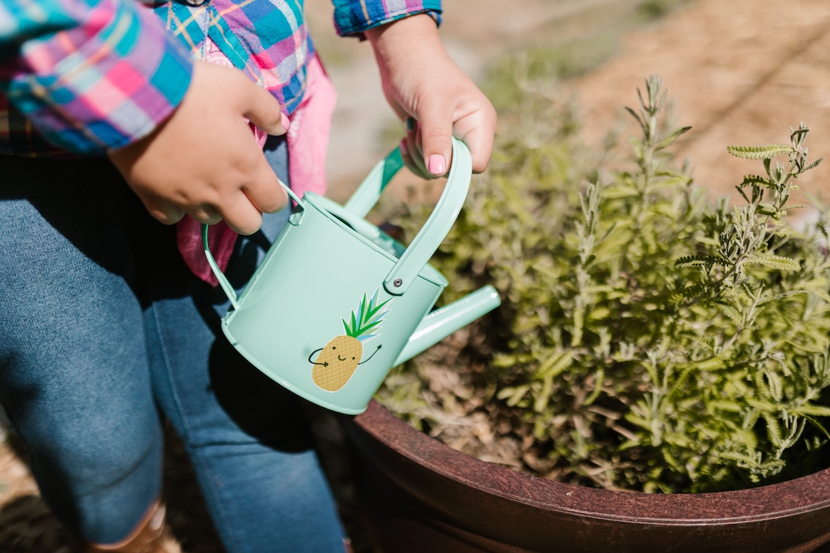 Child watering plants